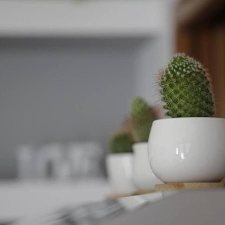 Iseo Lake Family&Friends Smart Home ภายนอก รูปภาพ